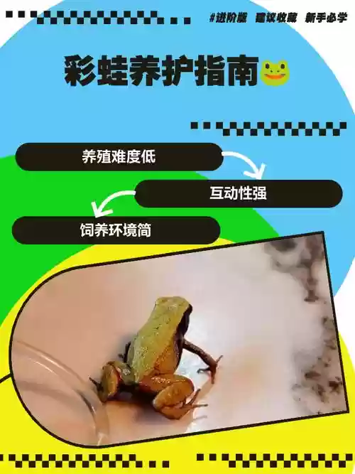 养蛙攻略破解中文版，养蛙能赚钱吗插图1
