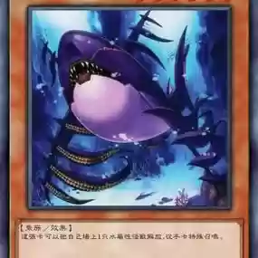 鲨鱼阵容搭配，鲨鱼卡组强吗插图1