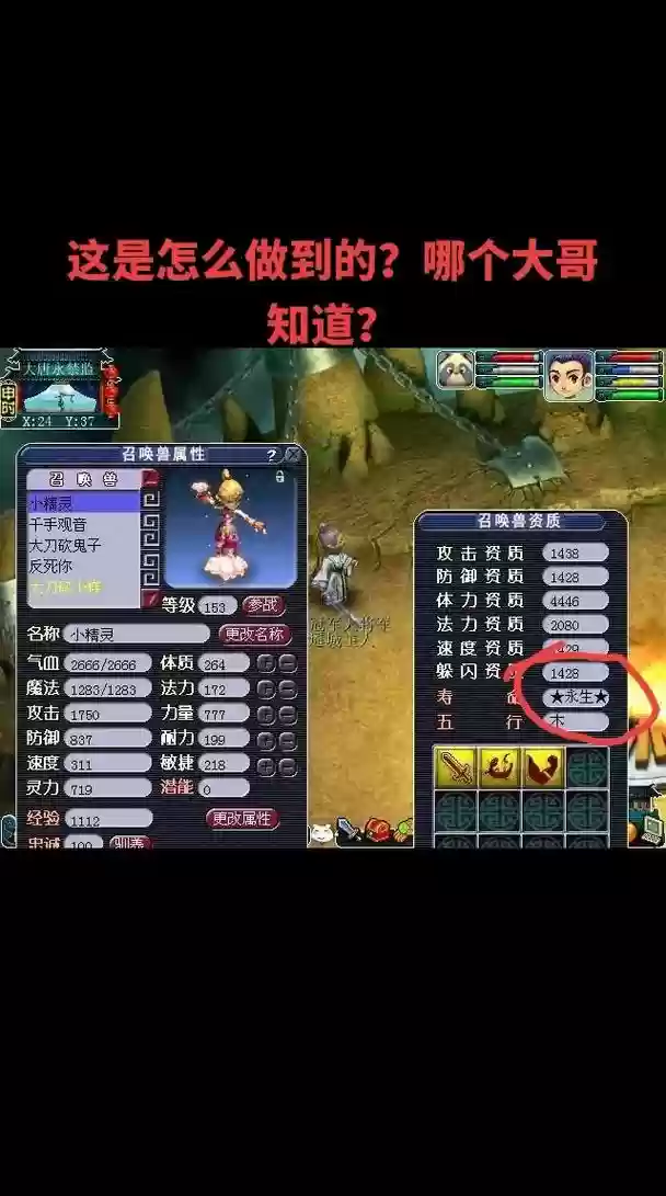 梦幻西游芙蓉必带技能，梦幻西游进阶芙蓉攻击视频插图