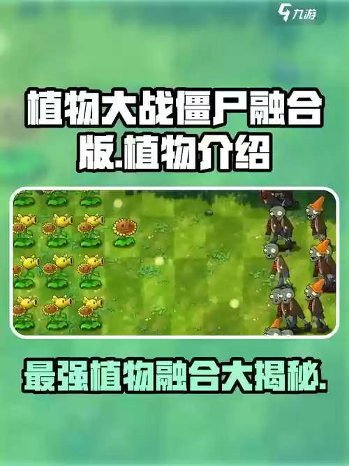 植物大战僵尸官方搭配阵容，植物大战僵尸植物搭配插图1