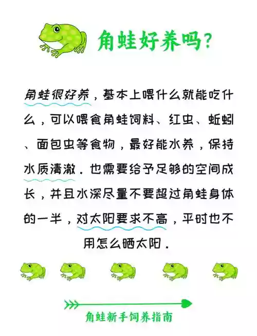 养蛙攻略破解中文版，养蛙能赚钱吗插图