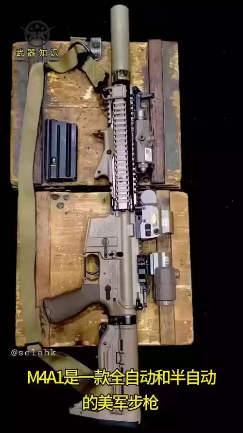m4a1系列武器，m4a1q插图1