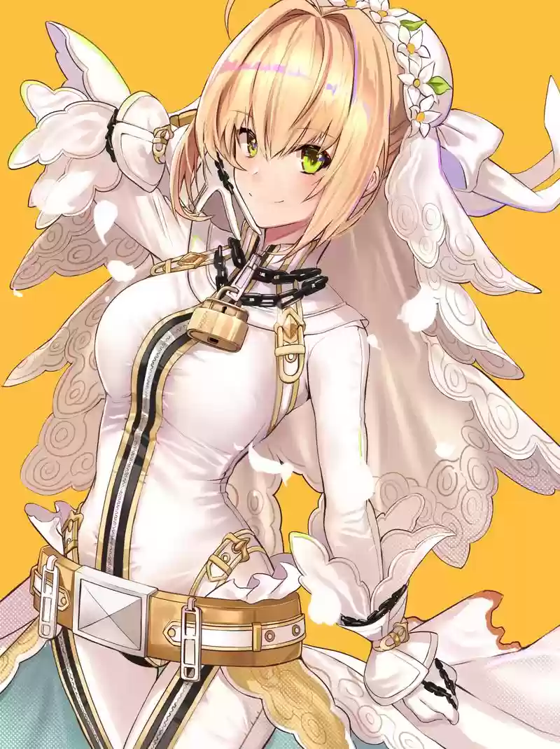 fgo尼禄祭攻略闪闪，fgo 尼禄祭 攻略插图1
