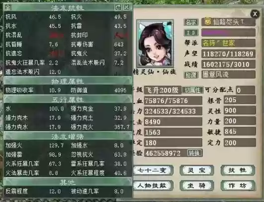 大话减属性装备什么意思，大话2套装属性能洗出的属性插图