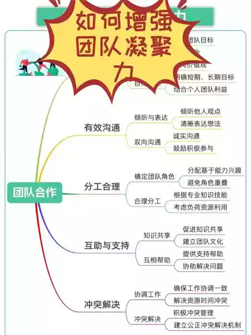 团队最佳阵容搭配图，最佳团队怎么写插图