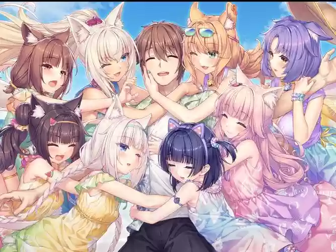 neko-ninexheart攻略，neko collector 攻略插图