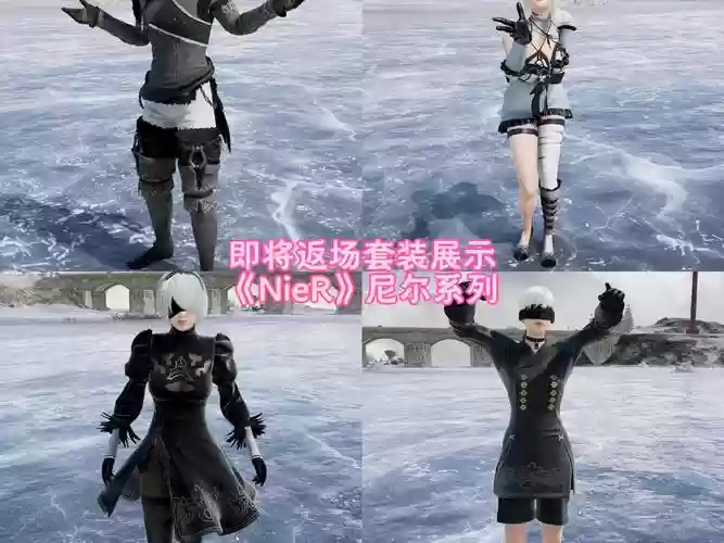 尼尔副武器效果，尼尔配装插图1