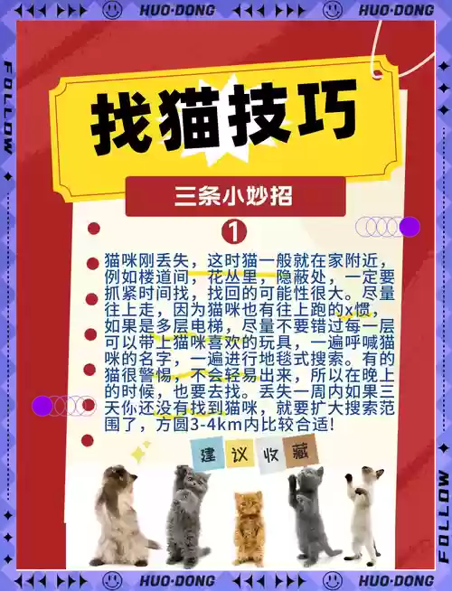 淘宝捉猫攻略，淘宝最新的猫怎么玩插图1