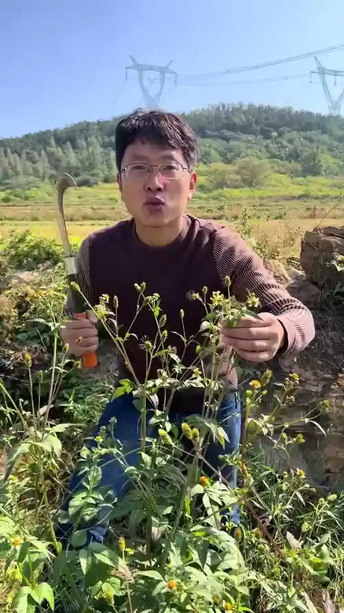 阵鬼技能取舍，鬼个阵作用插图1