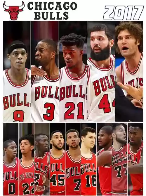 公牛的天赋和阵容搭配,公牛的天赋和阵容搭配怎么样插图1 公牛的天赋和阵容搭配,公牛的天赋和阵容搭配怎么样插图1